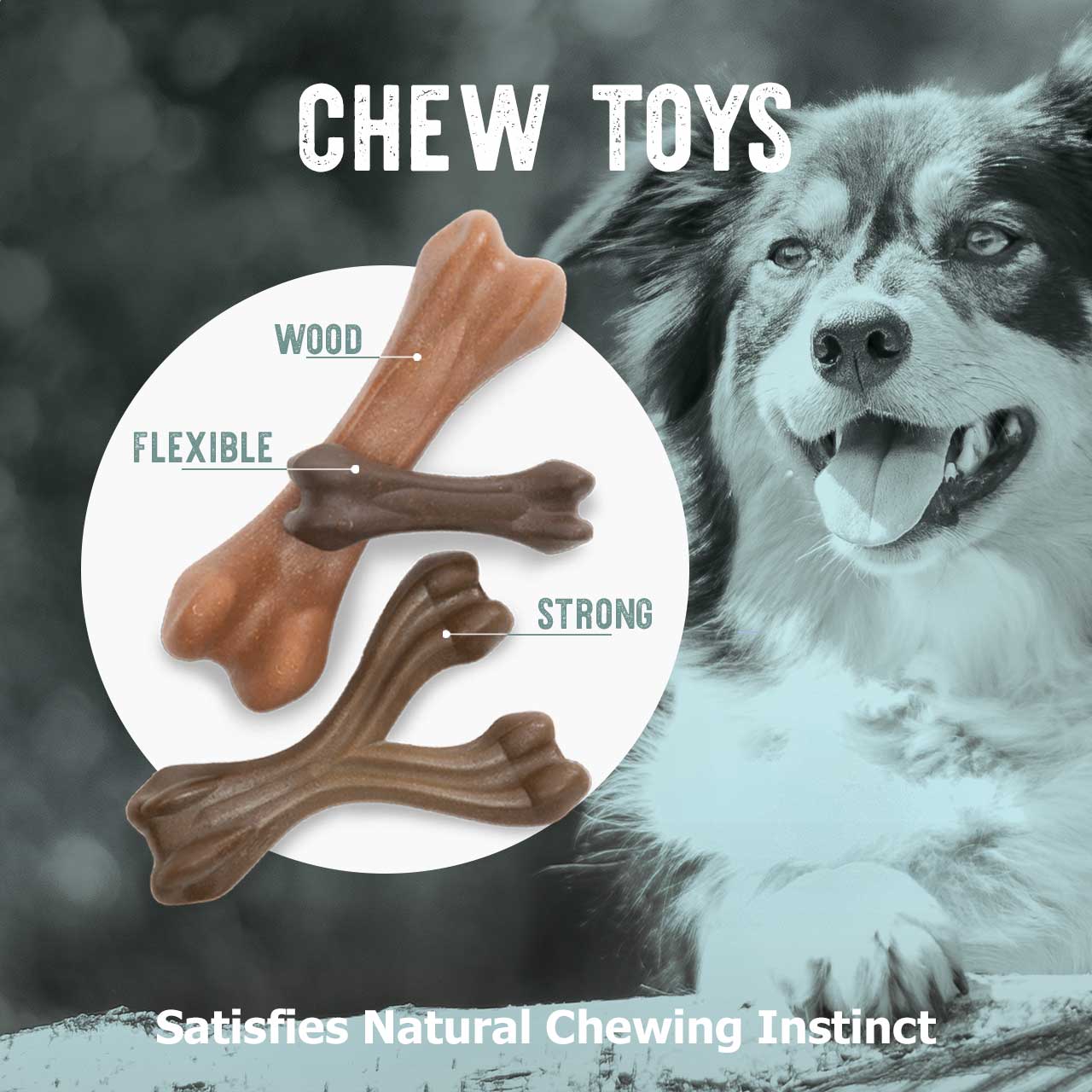 Chew Toys, wood, flexible, strong - Satisfies natural chewing instinct